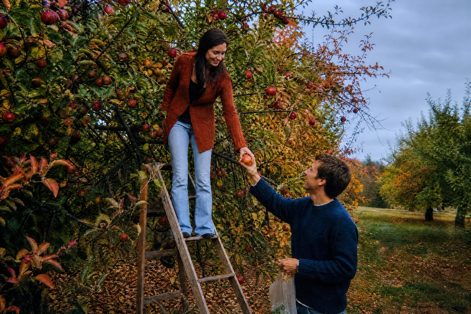 AI Photo Enhancer — after editing