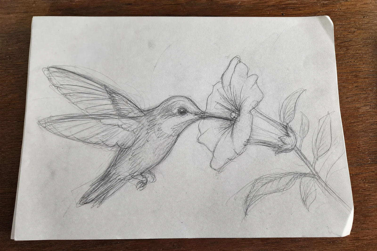Sketch to Art — before editing